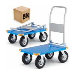 PLATFORMAS RATIŅI,...