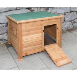 Zosu un pīļu māja Duck Town