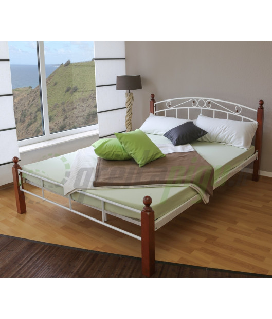 KLASIKINĖ METALINĖ DVIGULĖ LOVA – 916 - HS